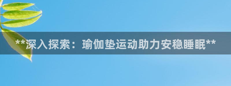 2024欧洲杯押注官网